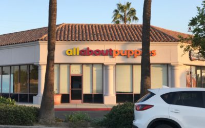 Ut quia dolores qui tempora officiis